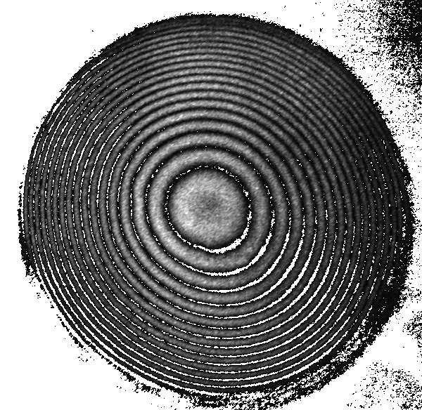 Defocus: Example of Bimorp Deformable Mirror Response function measured with a Twyman-Green interferometer at l = 632.8 nm, 30 mm aperture.