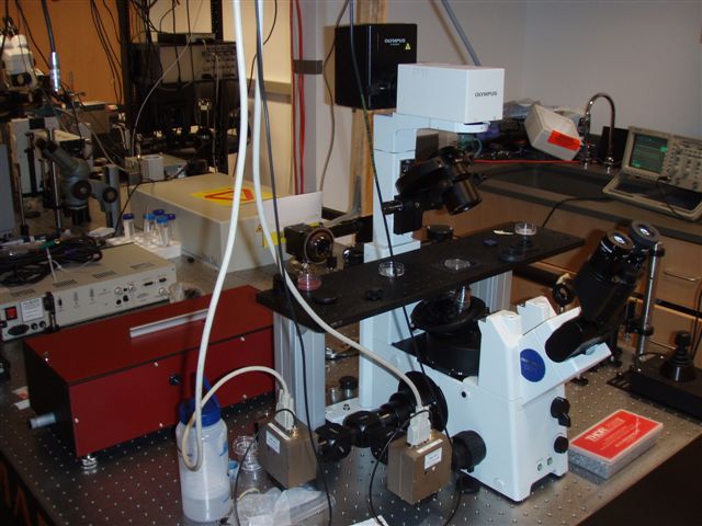 Francisco Bezanilla using Del Mar Photonics THG unit in in his experiments on measuring intramolecular distances with fluorescence resonance energy transfer (FRET).